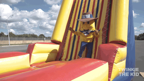 Twinkie Jumping In The Inflatable GIF