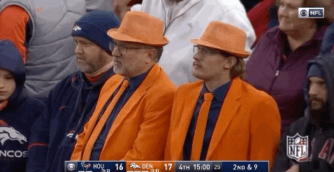 Twinning 2018 Nfl GIF