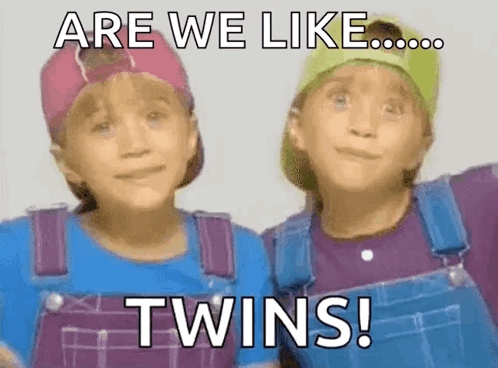 Twinning Are We Like Twins GIF