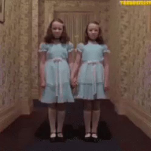 Twinning Shinning Twins GIF