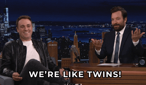 Twinning We're Like Twins GIF
