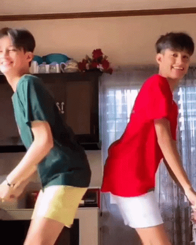 Harvey Fagarita Twins GIF