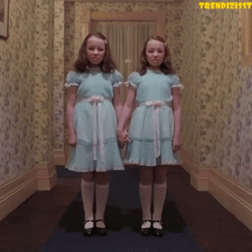 Twins 498 X 498 Gif GIF