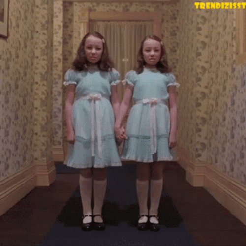 Twins GIF