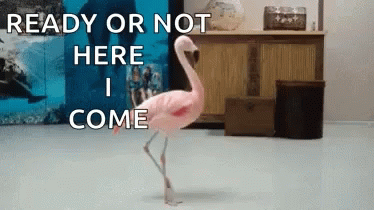 Twirling Flamingo GIF