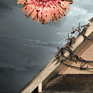 Twisted Sister Heather Graham GIF