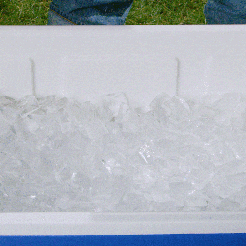 Twisted Tea Ice Bucket GIF