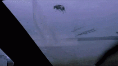 Twister Helen Hunt Bill Paxton Flying Cow GIF
