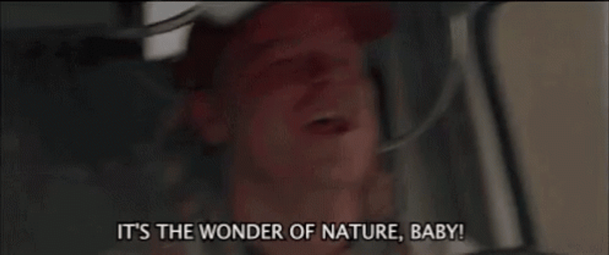 Twister Philip Seymour Hoffman Wonder Of Nature GIF