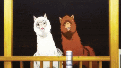 Two Alpacas Dancing GIF