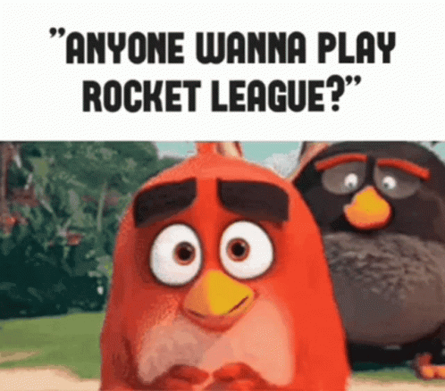 Two Angry Birds Anyone Wanna Play Rocket League GIF