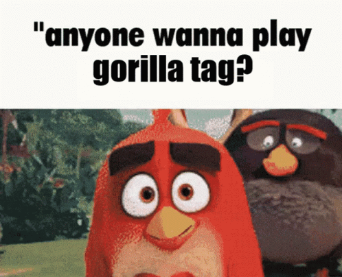 Two Angry Birds Are Standing Next To Each Other With A Caption That Says " Anyone Wanna Play Gorilla Tag " GIF
