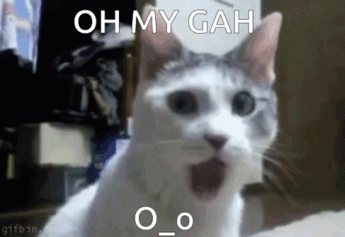 Two Animals Hugging Saying You Make Me So Happy I Love You Very Much GIF