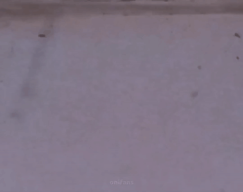 Two Ants Shaking Hands With A Man In A Suit GIF