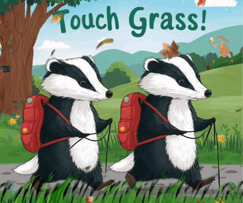 Two Badgers Walking Path With Touch Grass Text GIF