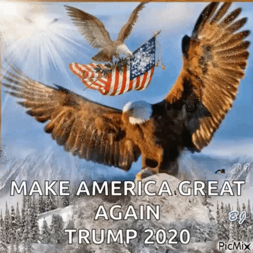 Two Bald Eagles Flying Over Mountain Make America Great Again Trump 2020