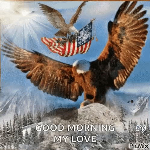 Two Bald Eagles Flying Over Mountain With American Flag GIF