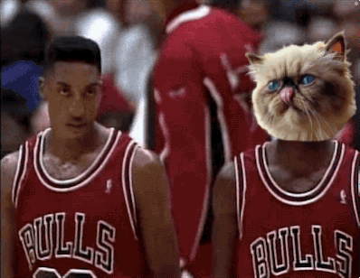 two basketball players wearing bulls jerseys are holding hands