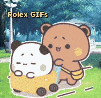 Two Bears Playing With Toy GIF