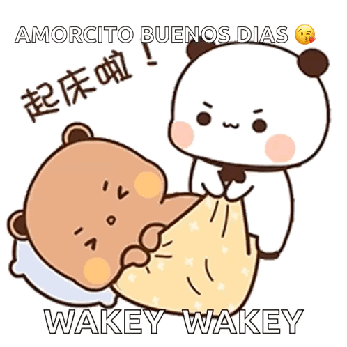 Two Bears Saying Buenos Dias
