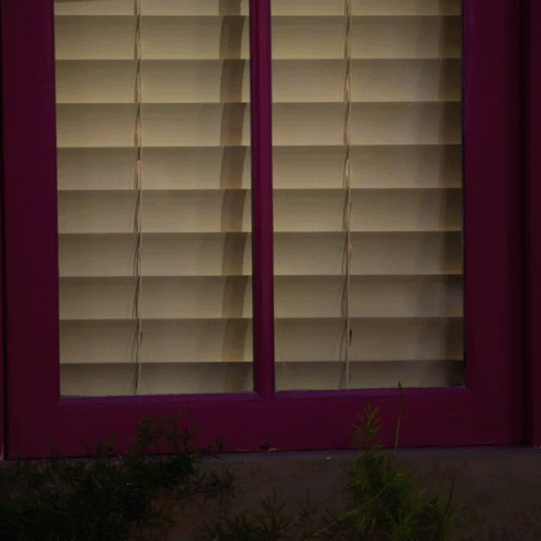 Two Beautiful Ladies Looking Out The Window GIF