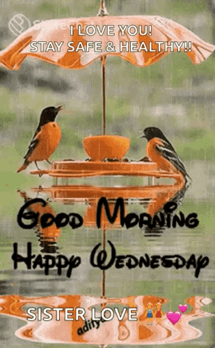 Two Birds Are Sitting On A Bird Feeder Under An Umbrella . GIF