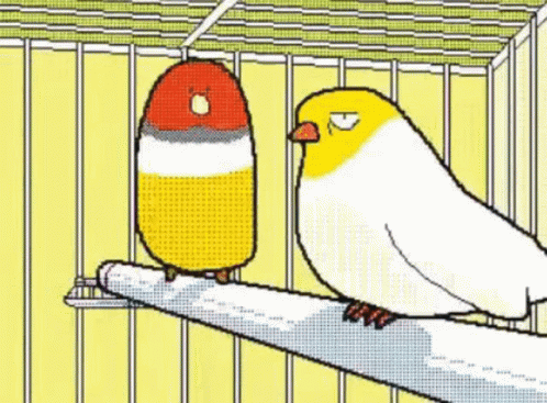 Two Birds Are Sitting On A Branch In A Cage GIF