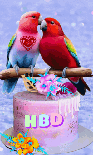 Two Birds Kissing On Top Of A Pink Cake That Says Hbd GIF