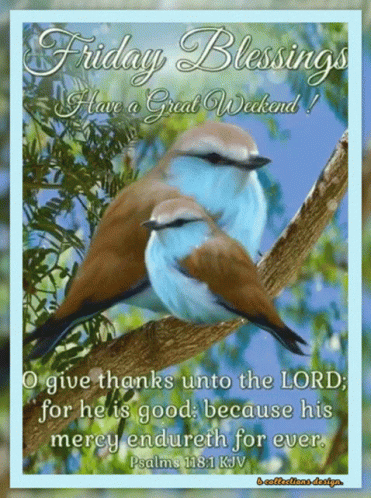 Two Birds On Tree Branch Friday Blessings GIF