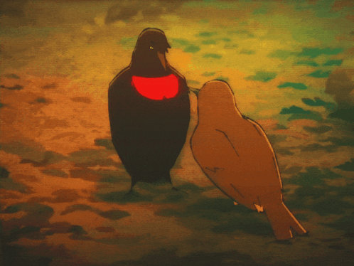 Two Birds One Red Heart On Chest GIF