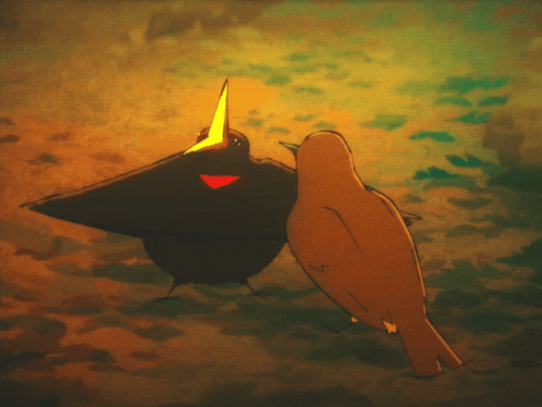 Two Birds One Yellow Beak GIF