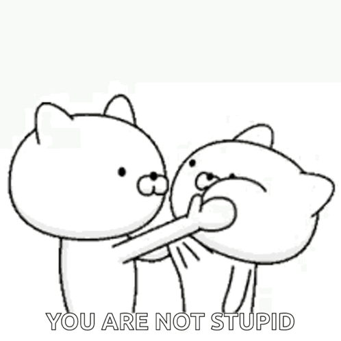 Two Black and White Cats Saying You Are Not Stupid