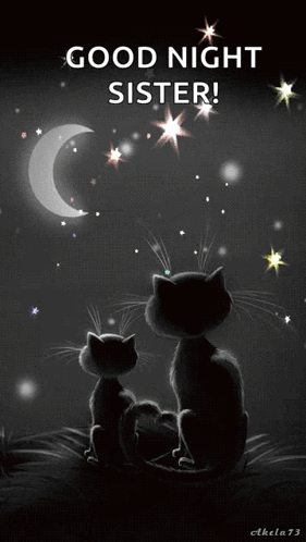 Two Black Cats Before Crescent Moon Wishing Good Night Sister GIF