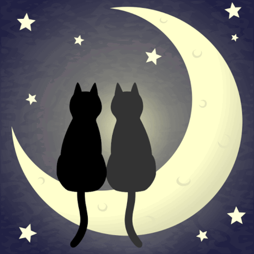 Two Black Cats Sit On A Crescent Moon With Stars In The Background GIF