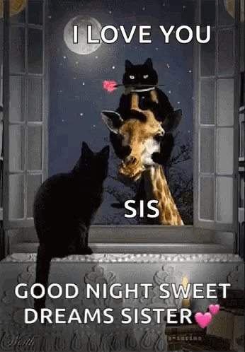 Two Black Cats Sitting On Giraffe Saying I Love You Sis Good Night Sweet Dreams Sister GIF