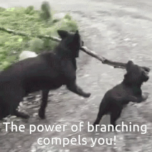 Two Black Dogs Are Playing With A Stick With The Caption The Power Of Branching Compels You ! GIF