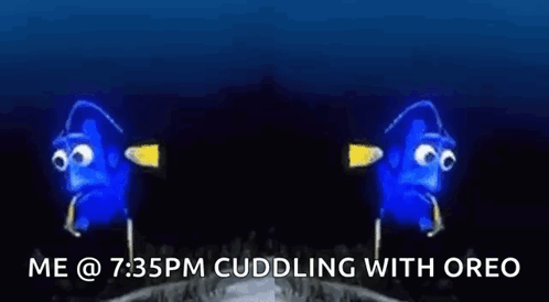 Two Blue Fish Hugging