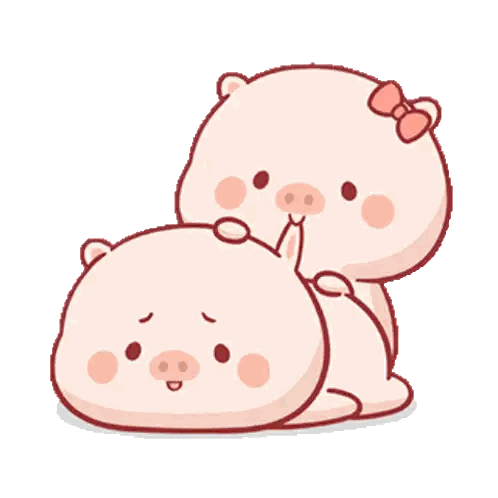 Two Bows on Pigs Lying Side by Side