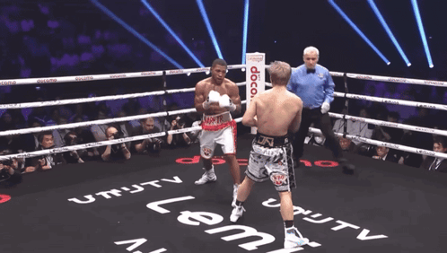 Two Boxers Boxing Ring Utility TV