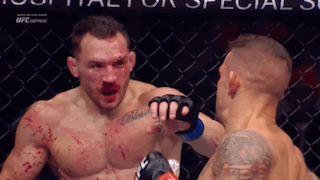 Two Boxers Fighting One Bloodied