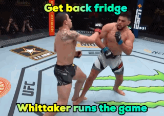 Two Boxers Get Back Fridge Whitaker Runs Game GIF