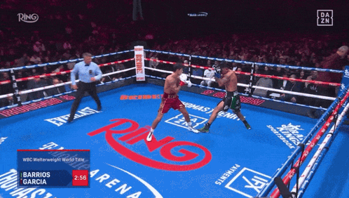 Two Boxers in a Ring Barrios Garcia