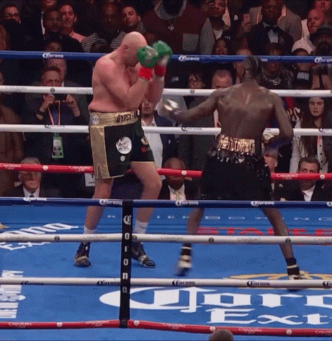 Two Boxers in Boxing Ring With Corona Advertisement