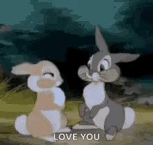 Two Bunny Rabbits Sitting Next to Each Other in Field