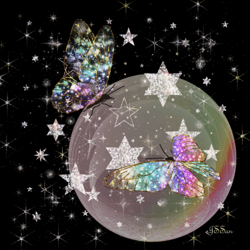 Two Butterflies Are Sitting On A Bubble Surrounded By Stars And The Name J.s. San Is On The Bottom GIF