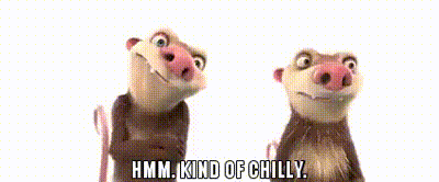 Two Cartoon Animals Standing Next To Each Other With The Words Hmm Kind Of Chilly GIF