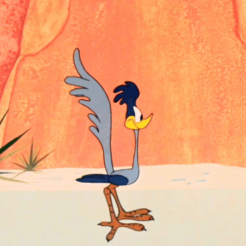 Two Cartoon Birds on Beach