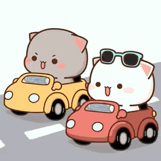 Two Cartoon Cats Are Driving Cars Down A Street . GIF