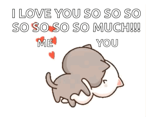 Two Cartoon Cats Are Holding Hands And Saying `` I Love You So So So So Much !! '' GIF
