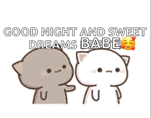 Two Cartoon Cats Good Night and Sweet Dreams Babe